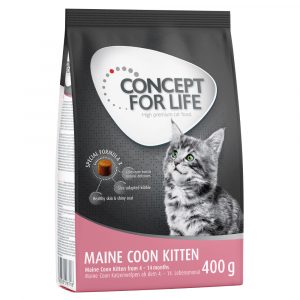 400 g Concept for Life zum Probierpreis! - Maine Coon Kitten