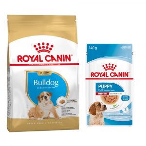 Royal Canin Breed Puppy Trockenfutter + 10 x 140 g passendes Nassfutter gratis! - 12 kg Bulldog + Medium Puppy