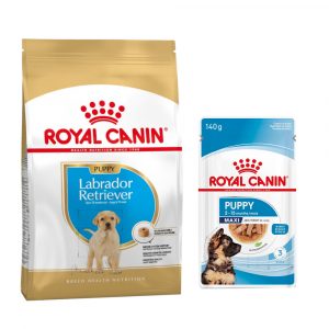 Royal Canin Breed Puppy Trockenfutter + 10 x 140 g passendes Nassfutter gratis! - 12 kg Labrador Retriever + Maxi Puppy