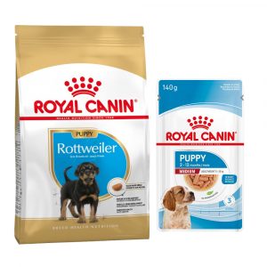 Royal Canin Breed Puppy Trockenfutter + 10 x 140 g passendes Nassfutter gratis! - 12 kg Rottweiler + Medium Puppy