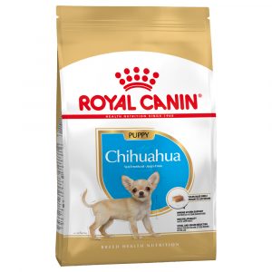 Royal Canin Chihuahua Puppy - Sparpaket: 3 x 1