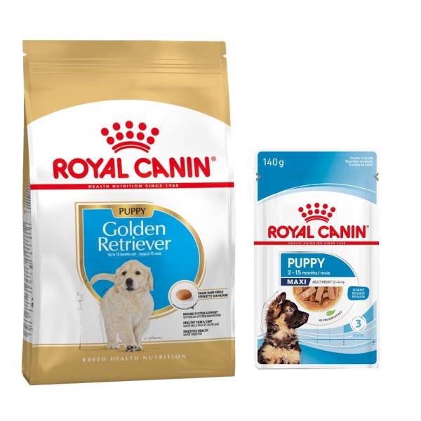 Royal Canin Breed Puppy Trockenfutter + 10 x 140 g passendes Nassfutter gratis! - 12 kg Golden Retriever + Maxi Puppy