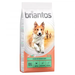 Briantos Adult Sensitive Lamm & Reis - Sparpaket: 4 x 1 kg