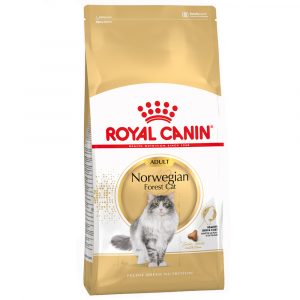 Royal Canin Norwegische Waldkatze Adult - Sparpaket: 2 x 10 kg
