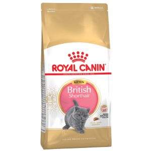 Royal Canin British Shorthair Kitten Sparpaket 2 x 10 kg