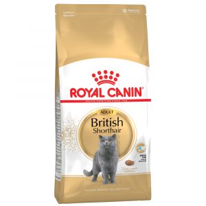 Royal Canin British Shorthair Adult - Sparpaket 2 x 10 kg