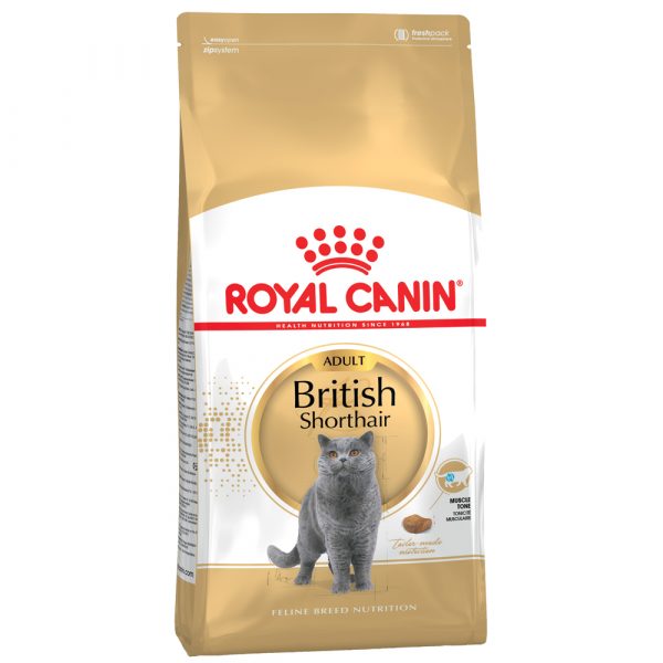 Sparpaket Royal Canin 2 x Großgebinde - British Shorthair Adult (2 x 10 kg)