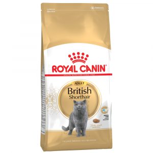 Sparpaket Royal Canin Breed 2 x Großgebinde - British Shorthair Adult (2 x 10 kg)