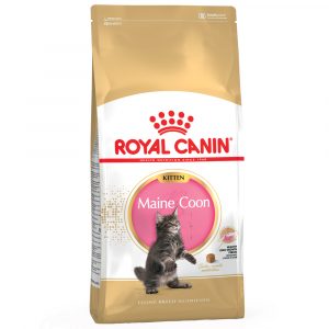 Sparpaket Royal Canin Kitten 2 x 10 kg / 4 kg - Maine Coon Kitten (2 x 10 kg)