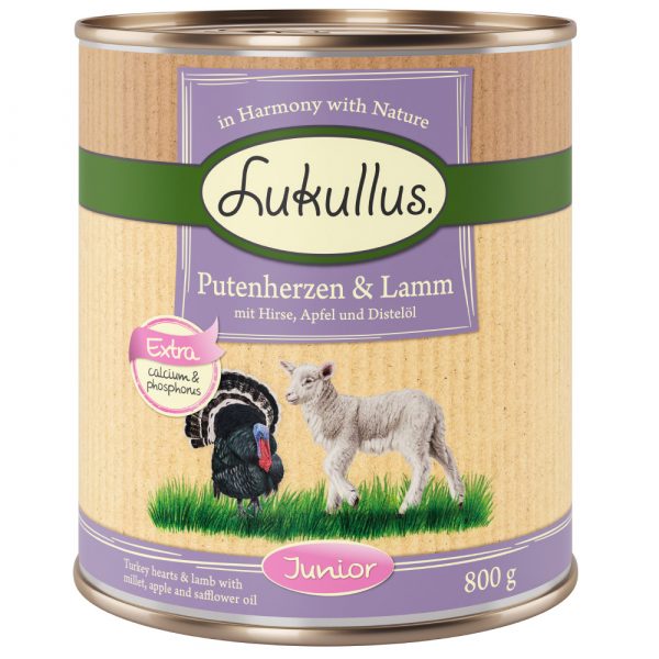 10 + 2 gratis! 12 x 800 g Lukullus Naturkost Adult