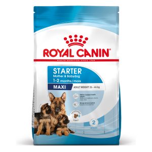 Royal Canin Maxi Starter Mother & Babydog - Sparpaket 2 x 15 kg