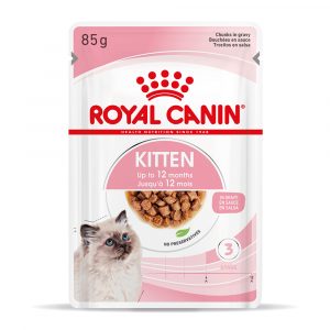 Royal Canin Kitten in Soße - 48 x 85 g