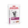 Royal Canin Veterinary Feline Renal Mousse - 48 x 85 g