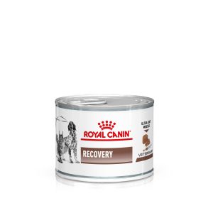 Royal Canin Veterinary Feline Recovery Ultra Soft Mousse - 48 x 195 g