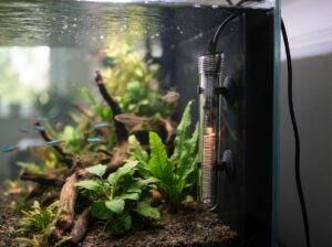 Aquarium Heizung